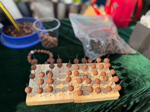 今日小雪，寶山健康廟會引領養生新潮流 中醫美式咖啡與中藥手串共舞