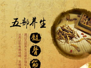 融合中醫養生文化，打造專業展板設計——高清PSD模板助力企業健康服務推廣